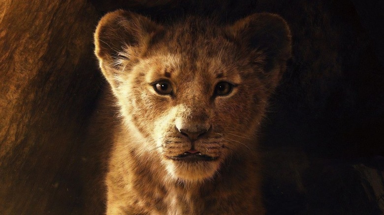 Simba (Donald Glover) emerges from a cave in The Lion King (2019)