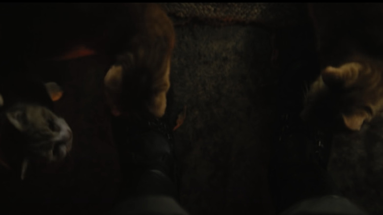 Cats at the Batman's feet