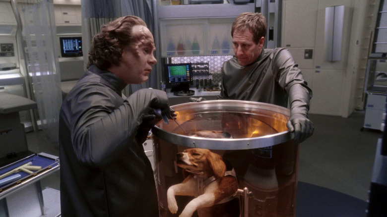 Jonathan Archer (Scott Bakula) talks to Phlox (John Billingsley) over a tank with Archer's pet beagle Porthos in Star Trek: Enterprise