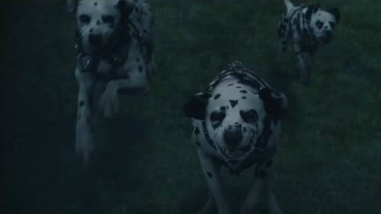 Dalmatians running across a field in Cruella