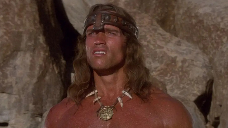 Arnold Schwarzenegger as Conan the Destroyer