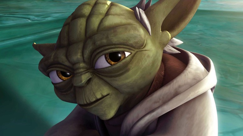 Yoda eyes the camera