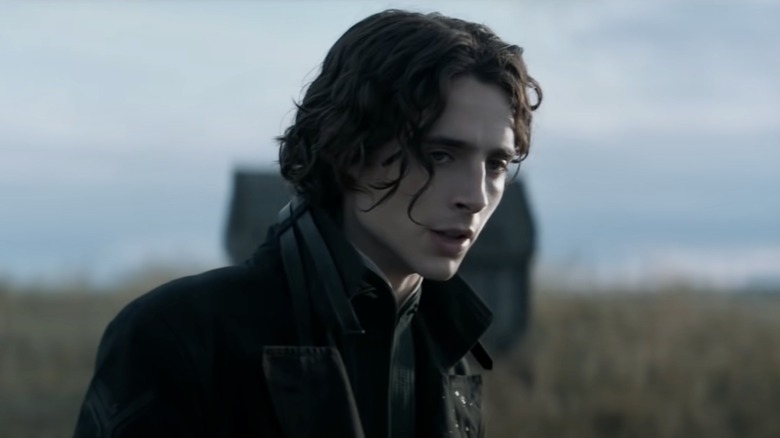  Timothée Chalamet Dune