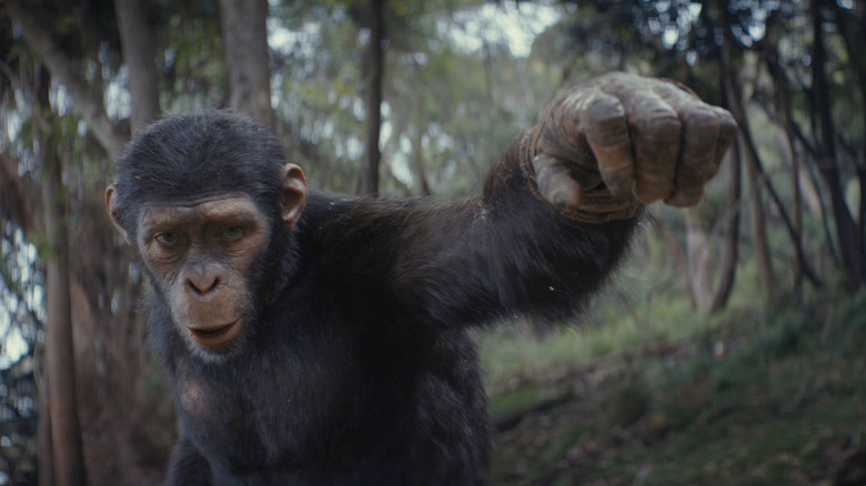 Noa reaches out in Kingdom of the Planet of the Apes