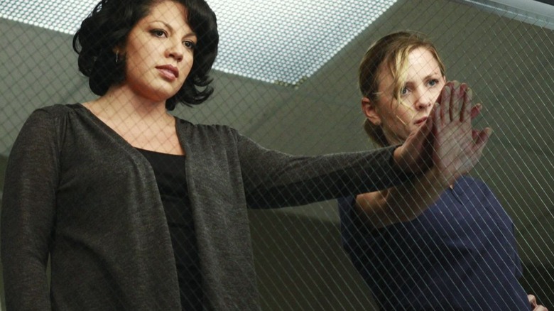 Callie and Arizona with their hands on top of one another's in the surgical gallery on Grey's Anatomy