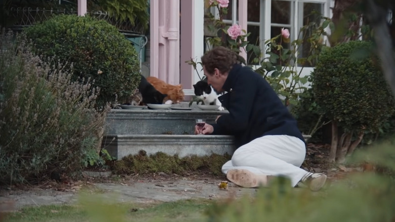 Cumberbatch with cats
