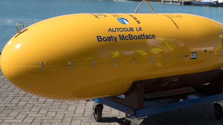 Boaty McBoatface