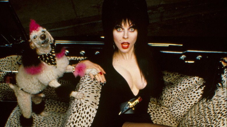 Elvira: Mistress of the Dark