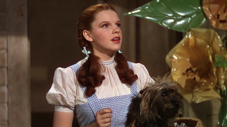 Judy Garland as Dorothy Gale and Toto take in the wonderful land of Oz