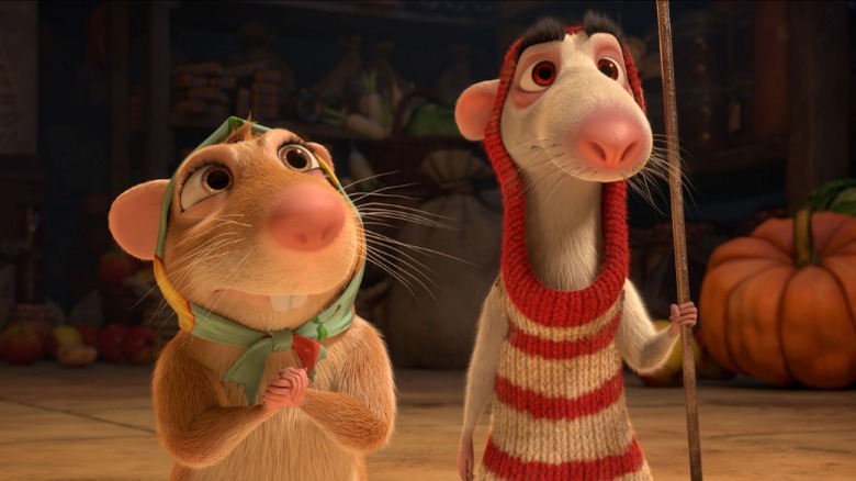 rats looking hopeful