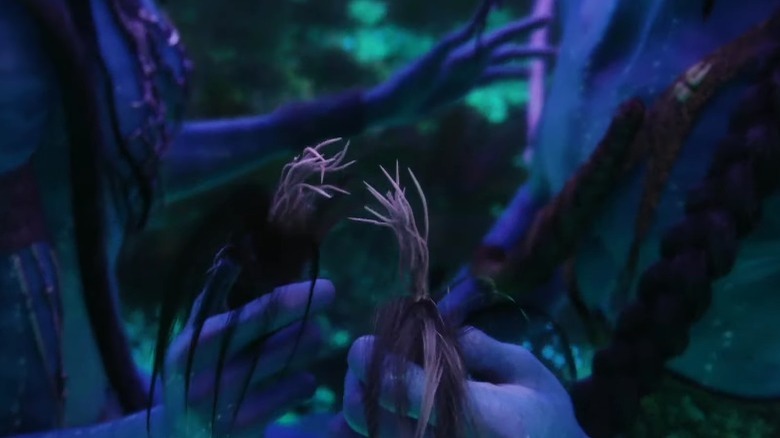 Queue tendrils close up
