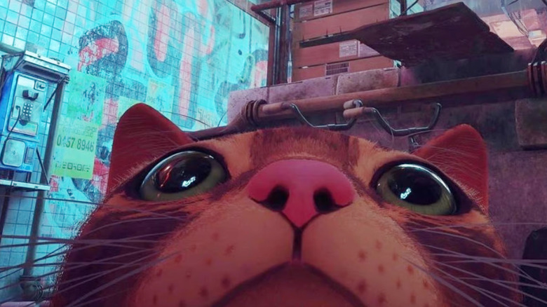 The Awesome Kitty Cyberpunk Video Game Adventure Stray Is Becoming