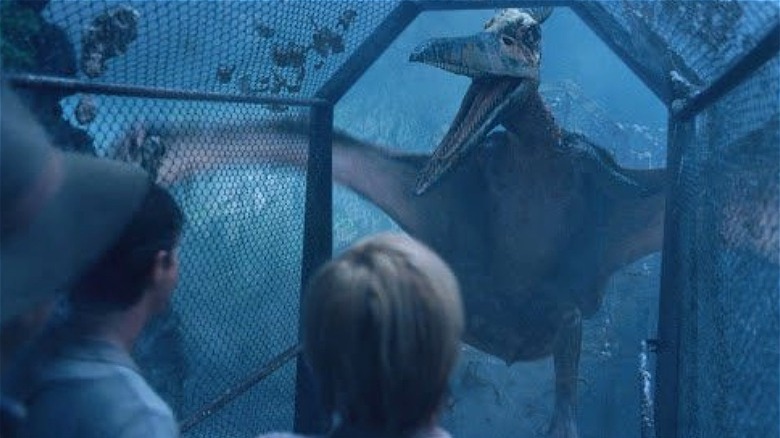 Pterodon in Aviary Jurassic Park III