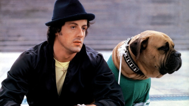 Sylvester Stallone as Rocky Balboa in Rocky II, sitting next to a Bull Mastiff dog outside with stairs in the background..