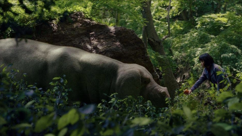 Okja and Mija walking in the woods