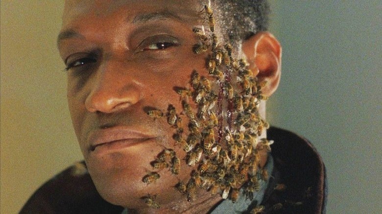 Tony Todd as Candyman