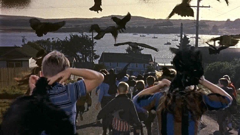 Birds attack kids in The Birds