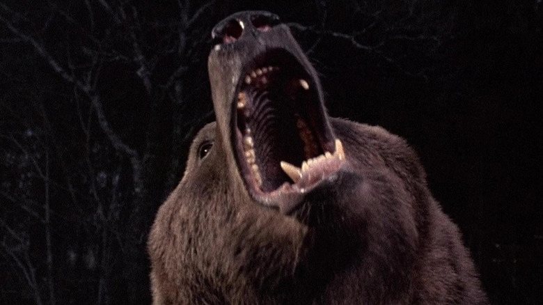 A bear roaring in "Grizzly"