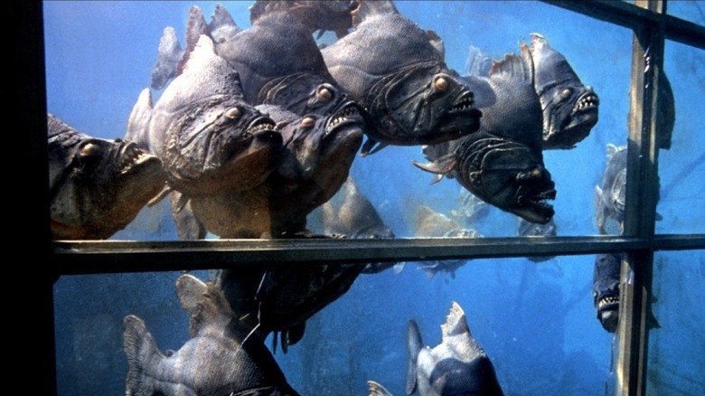 Piranha at the Window