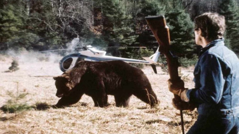 Grizzly Bear Fight