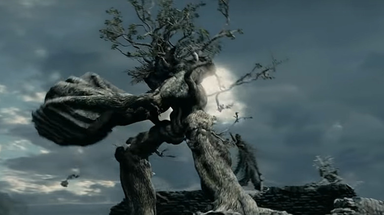 Wise Older Ent