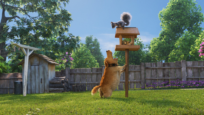 Dug Days - Dug and Squirrel