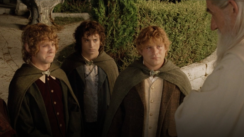 Dominic Monaghan, Elijah Wood, Sean Astin, and Ian McKellen in Lord of the Rings: Return of the King
