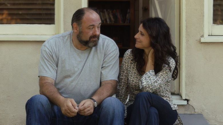 Enough Said James Gandolfini Julia Louis-Dreyfus