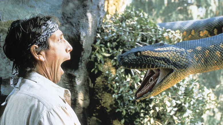 Anaconda