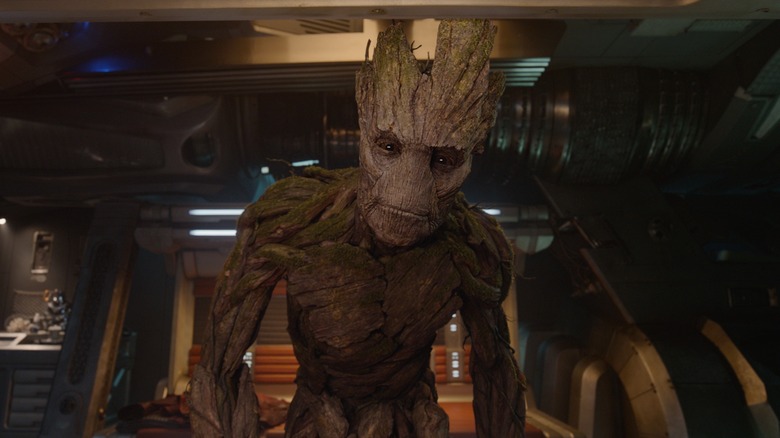 Groot peers at the camera