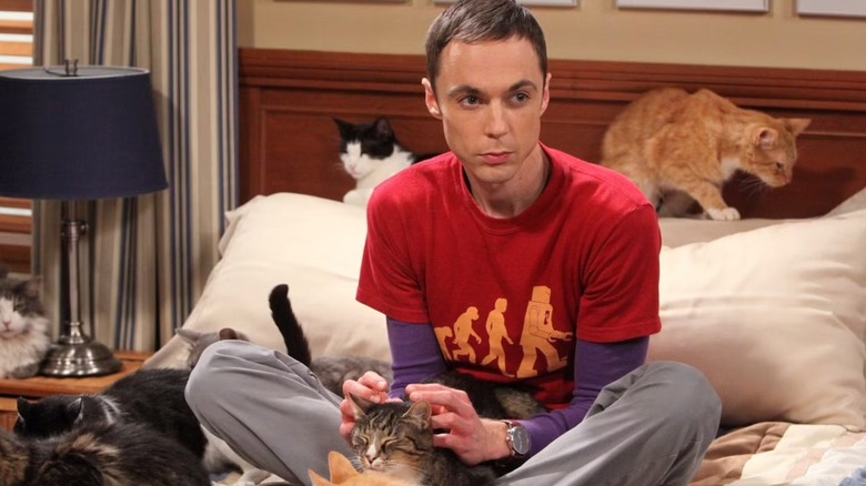 Shieldon sits in bed with a group of cats on the theory of the Big Bang