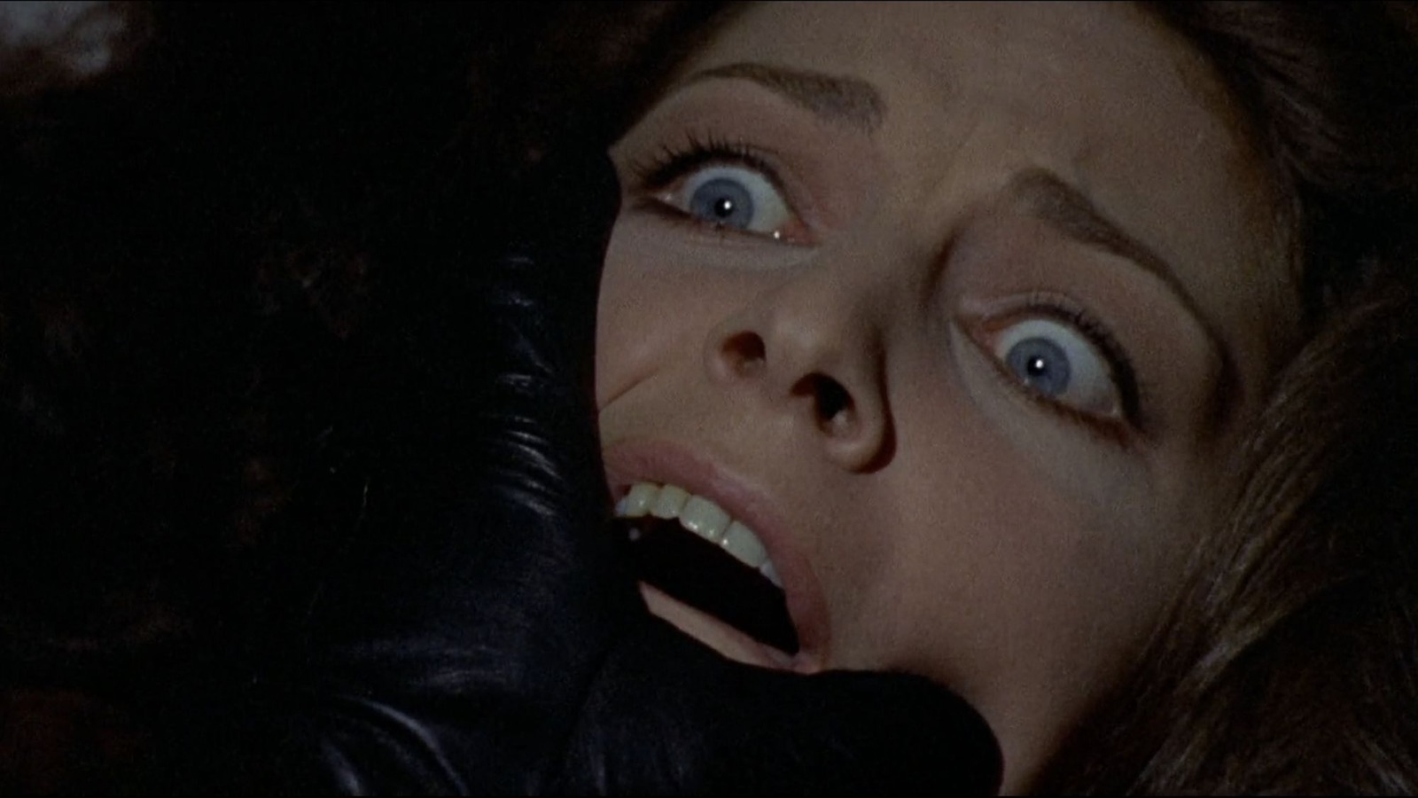 The Bird With The Crystal Plumage Was A Behind-The ... - Slash Film