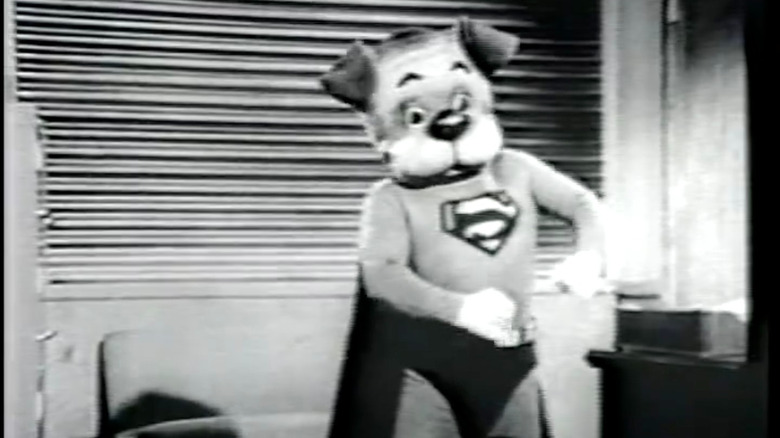 Super Pulungo com suas roupas sobre jogo