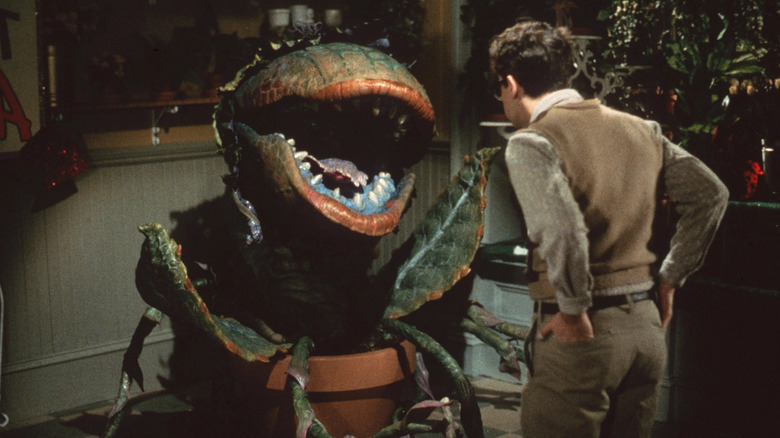 Audrey II and Seymour in Little Shop of Horrors