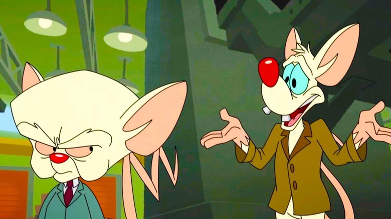 The Brain and Pinky in The Animaniacs