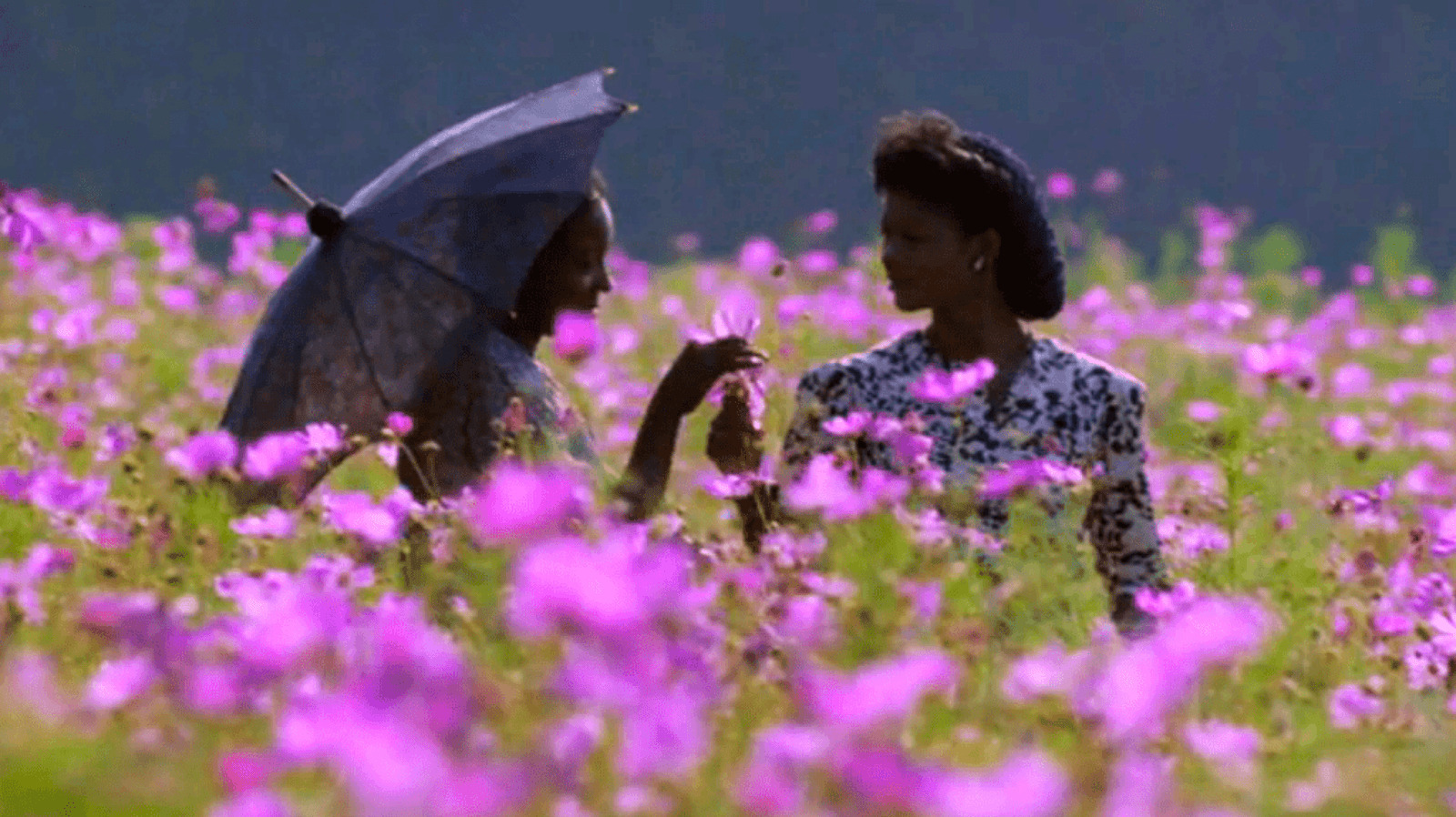 Award-winning movie 'The Color Purple' screened in NH during black ...
