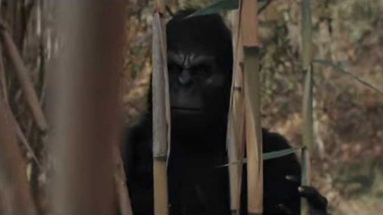 Amityville Bigfoot