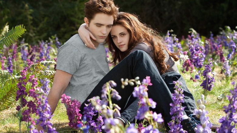 The Twilight Saga: Breaking Dawn Part 2