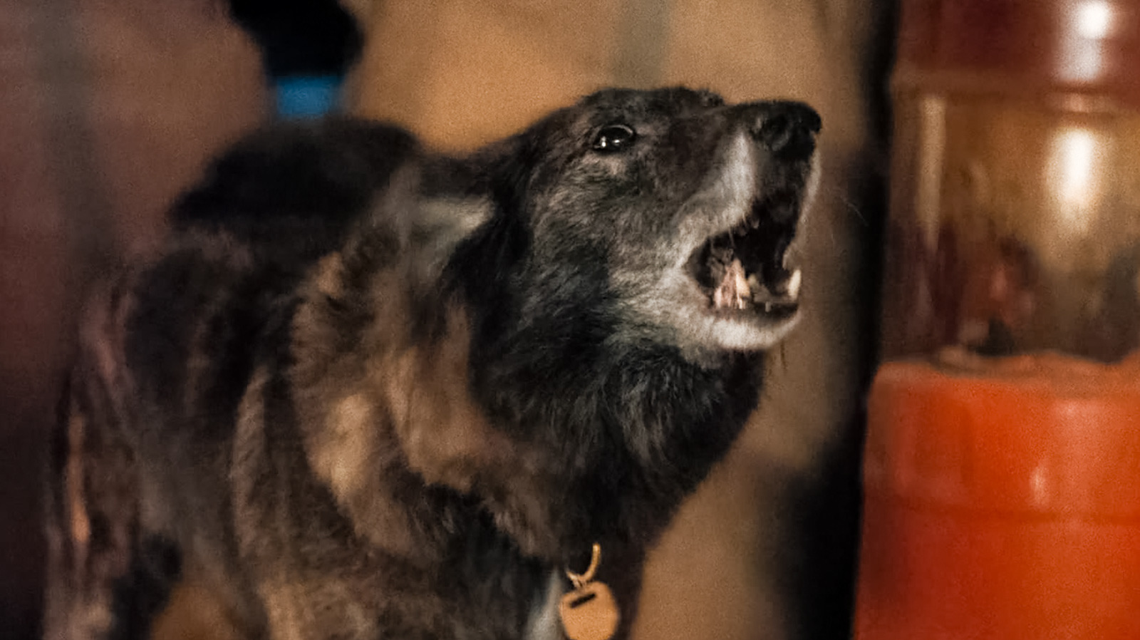 The Creator Director Gareth Edwards Really Wanted To Kill That Dog