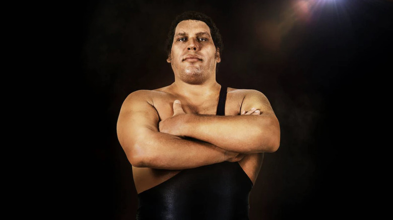 Andre the Giant
