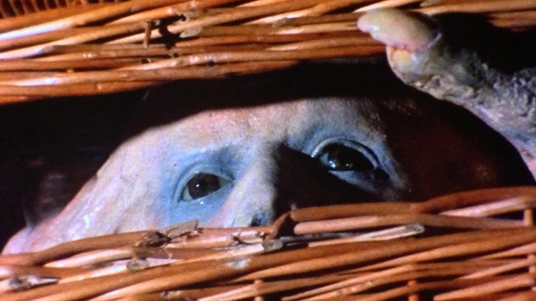 Basket Case