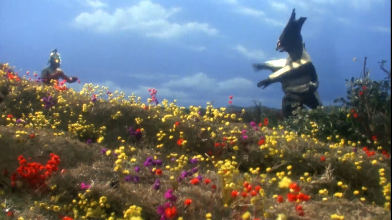 ultraseven and kaiju in flower field