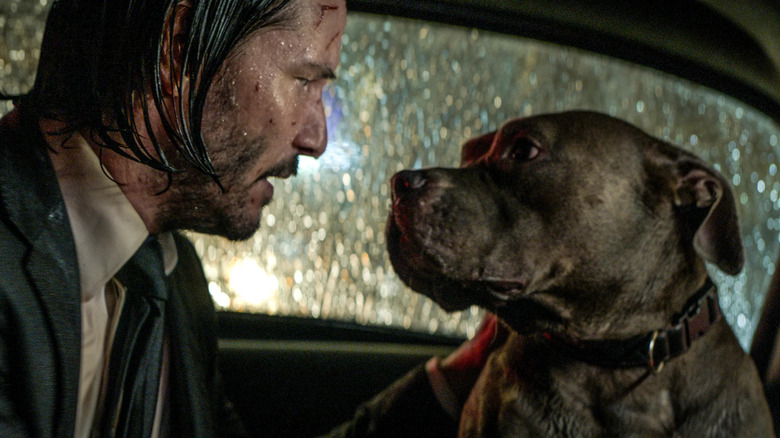 John Wick 2, John Wick and his new dog
