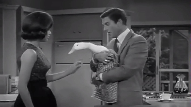 The Dick Van Dyke Show duck