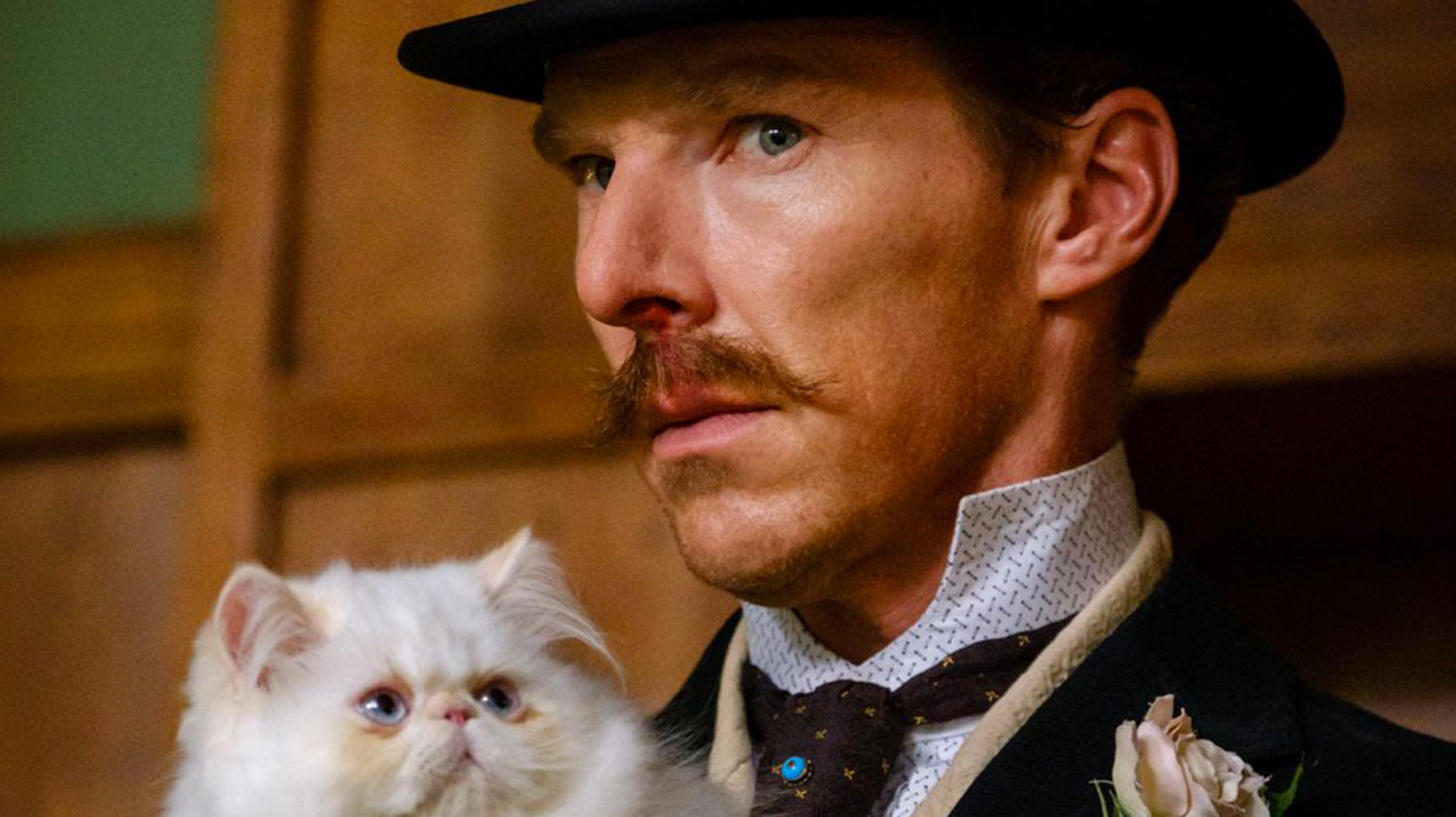 #Benedict Cumberbatch Paints Cats In This Surprisingly Melancholy Biopic [TIFF 2021]