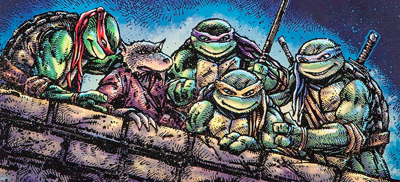 Teenage Mutant Ninja Turtles Vinyl Soundtrack