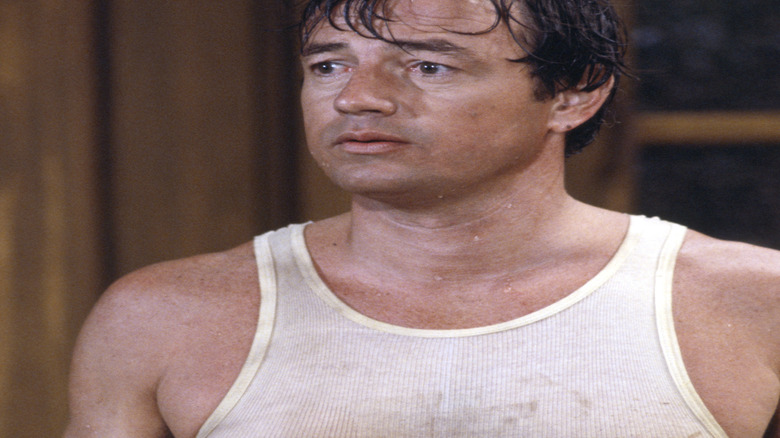 John Lawlor as Steven Bradley, looking sullen on "The Facts of Life"