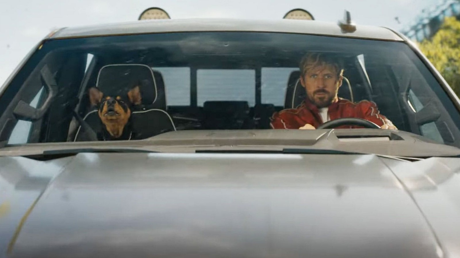 The Fall Guy's Adorable Dog Was Ryan Gosling's Tribute To A Real-Life