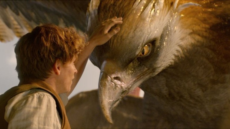 Newt Scamander and Frank the Thunderbird