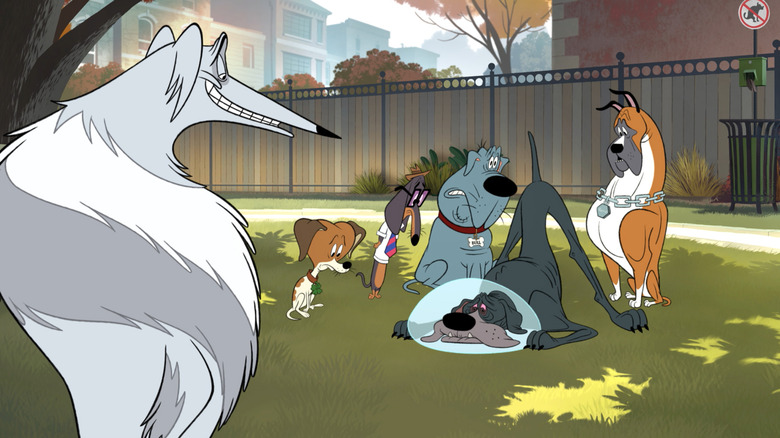 A group of dogs looking distressed at their friend's butt in Fixed